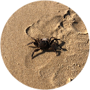 chuck him in the bag Chuck him in the bag